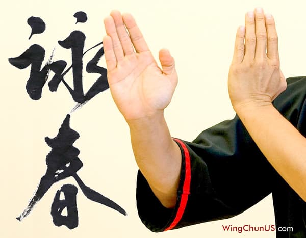 Wox Academy - 114. Fotoğraf Wox Academy - 114. Fotoğraf